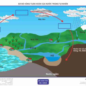Khoa học - Sơ đồ vòng tuần hoàn của nước trong tự nhiên (Tranh giấy) - Dùng cho lớp 4 (Có thể thay bằng phần mềm mô phỏng)