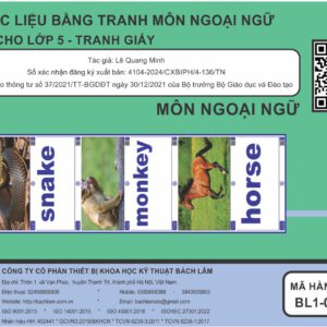 Bộ học liệu bằng tranh - Dùng cho Lớp 5 (Tranh giấy)