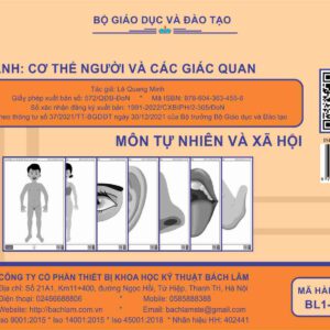 TNXH - Bộ tranh: Cơ thể người và các giác quan (Tranh giấy) - Dùng cho lớp 1
