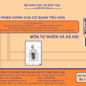 TNXH - Các bộ phận chính của cơ quan tiêu hóa (Tranh giấy) - Dùng cho lớp 3