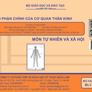 TNXH - Các bộ phận chính của cơ quan thần kinh (Tranh giấy) - Dùng cho lớp 3