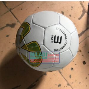 Quả bóng đá (Số 5)