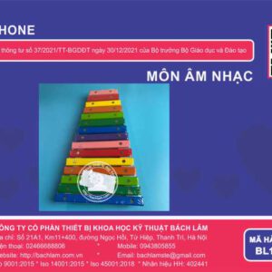 Âm nhạc - Xylophone (Gỗ) - Nhạc cụ thể hiện giai điệu